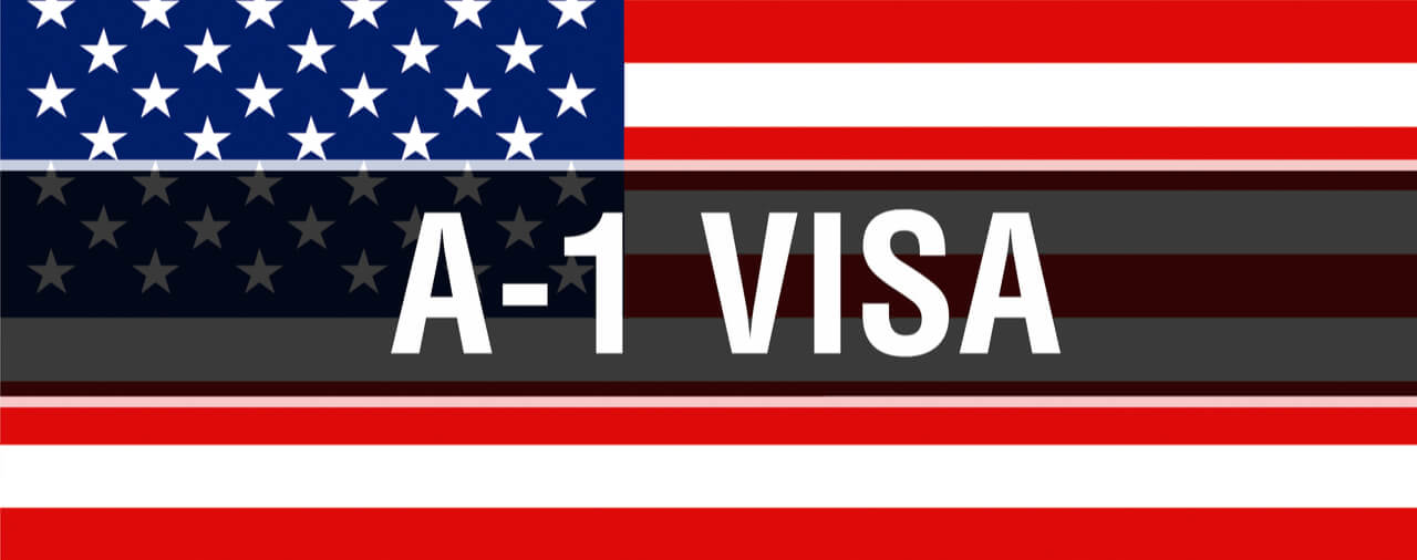 Дипломатические визы в США